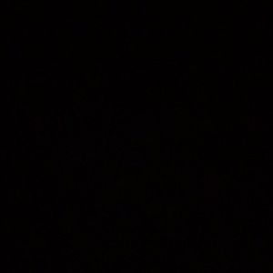 Meet your Posher, Daniela